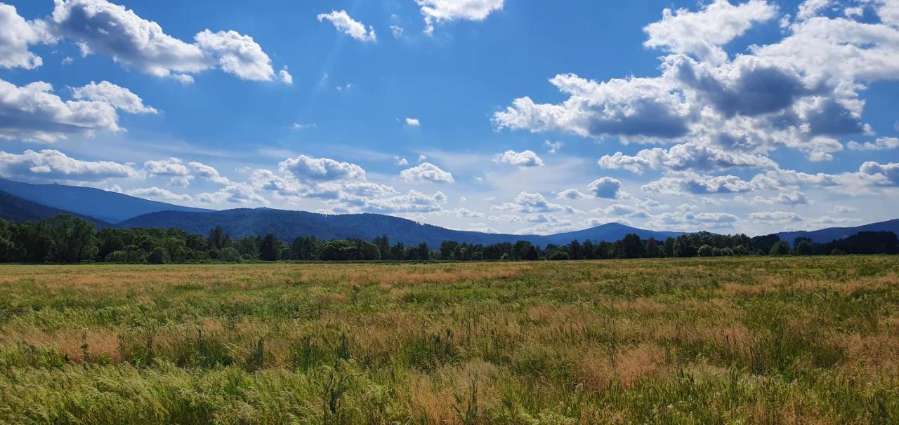 Apartament Wita Stwosza Jelenia Gora Bagian luar foto