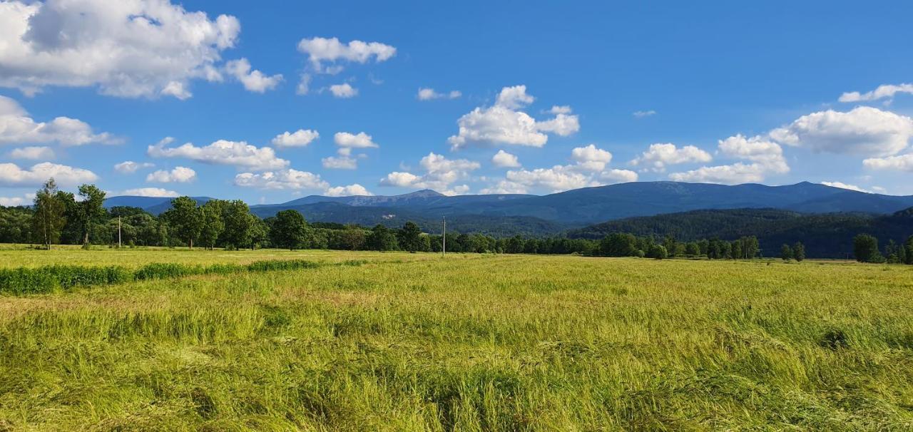 Apartament Wita Stwosza Jelenia Gora Bagian luar foto
