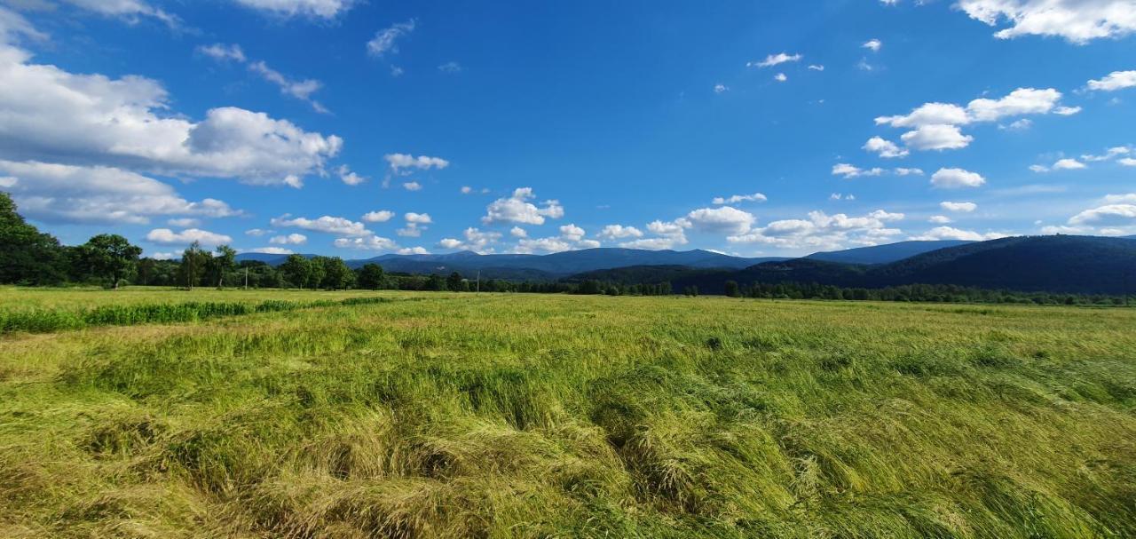 Apartament Wita Stwosza Jelenia Gora Bagian luar foto