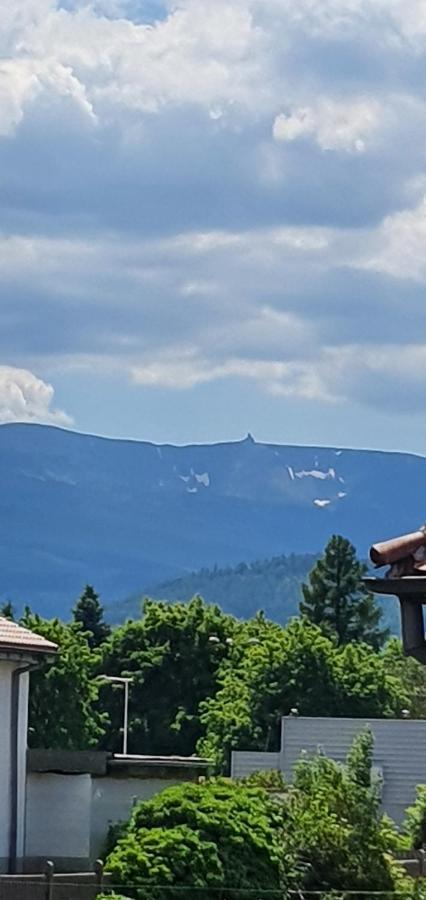 Apartament Wita Stwosza Jelenia Gora Bagian luar foto